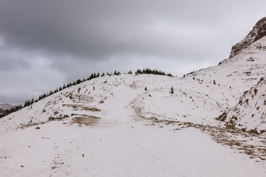 The final climb up Bow Summit