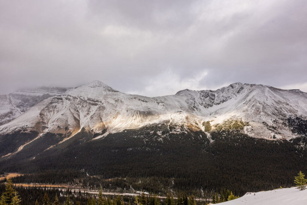 The view from the hike above Peyto Lake to Bow Summit