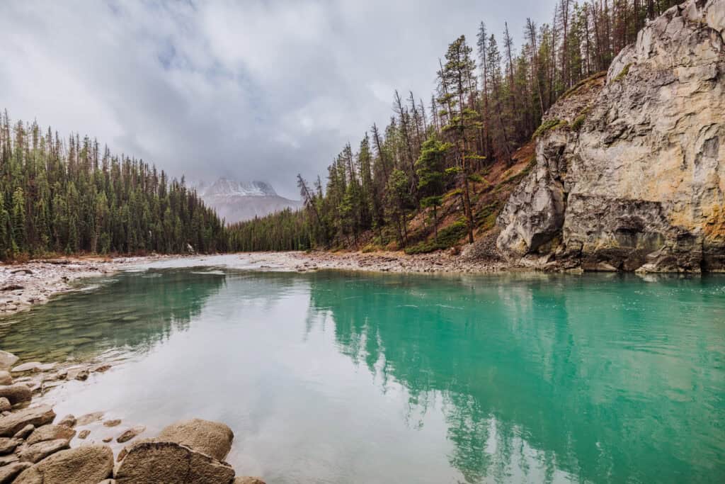 The view of the lake beyond Sunwapta Falls