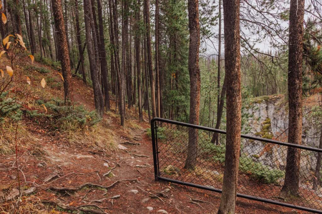 The trail beyond Sunwapta Falls