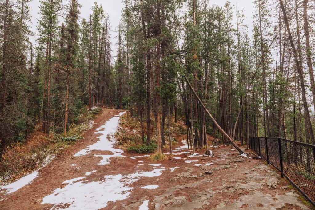 The trail to Sunwapta Falls with snow