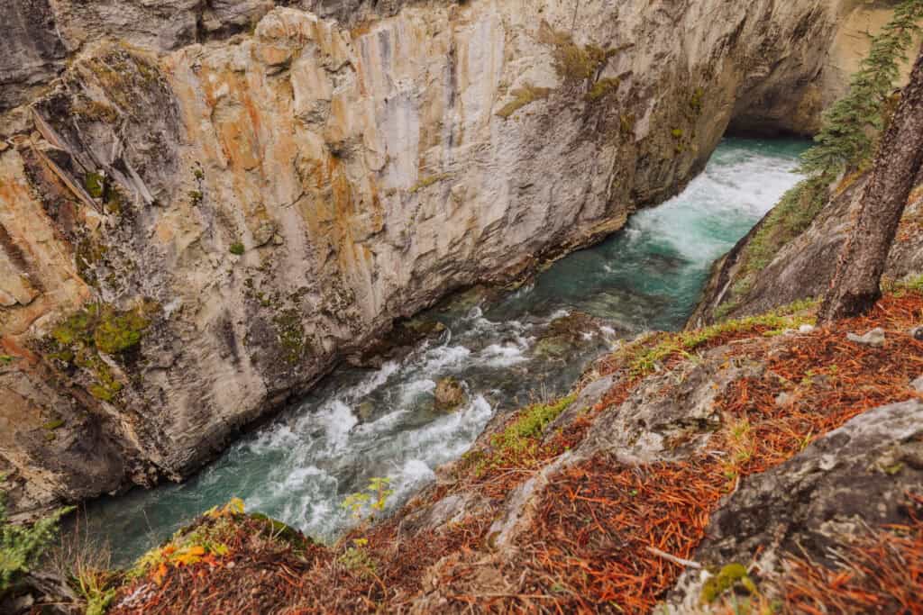 Looking down into the gorge at Sunwapta Falls