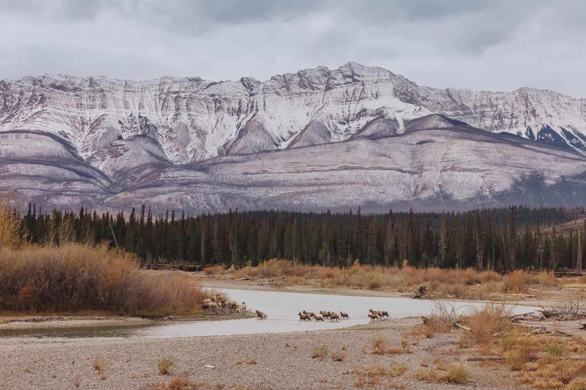 October in Jasper National Park: Autumn Turns to Winter - Jared's Detours
