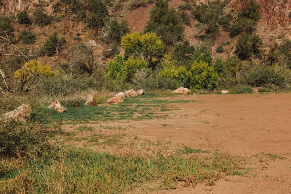 The Homestead Parking Lot at Fossil Creek