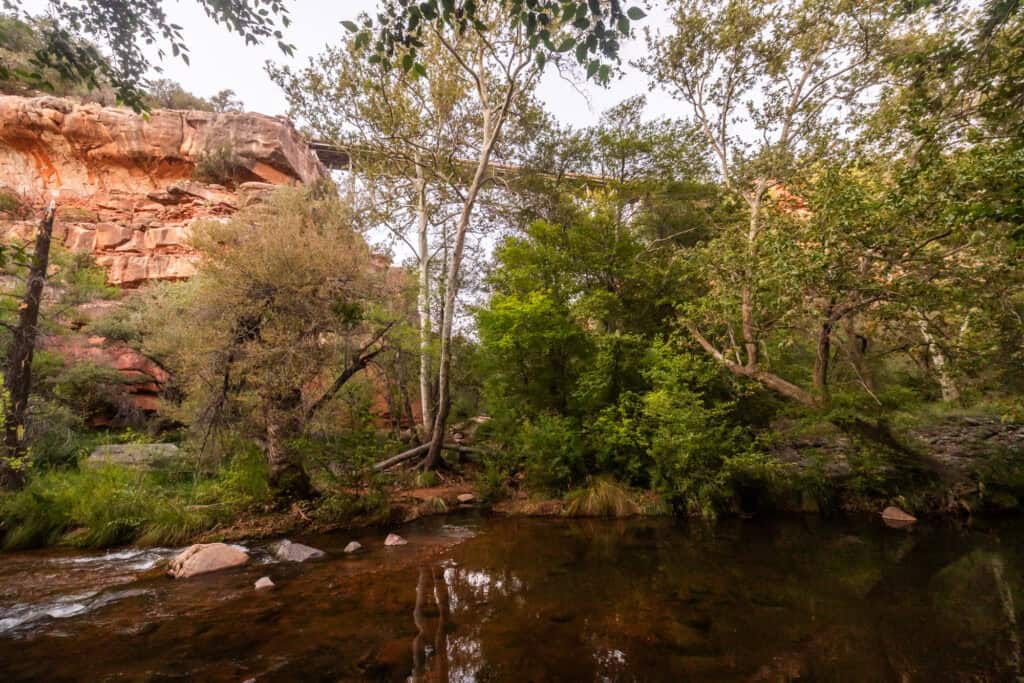 One of Oak Creek's swimming holes in Sedona, under Midgley Bridge