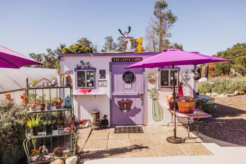 The Luffa Farm in Nipomo, California
