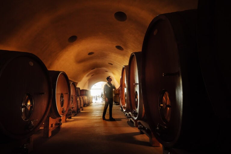 Jared Dillingham in the wine cave at Presqu'ile Winery in Santa Maria, California