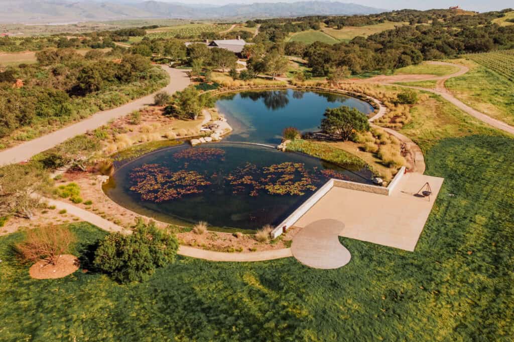 An aerial view of the pond in the Presqu'ile vineyard