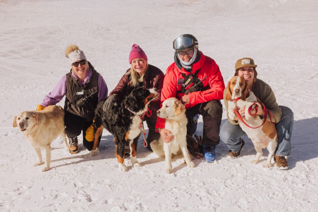 The dogs at Showdown Montana