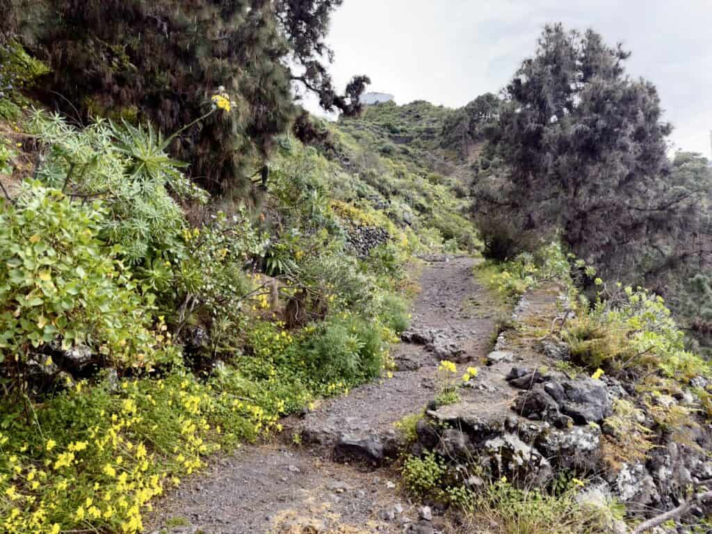 Hiking up the lava trail from Garachico on Tenerife