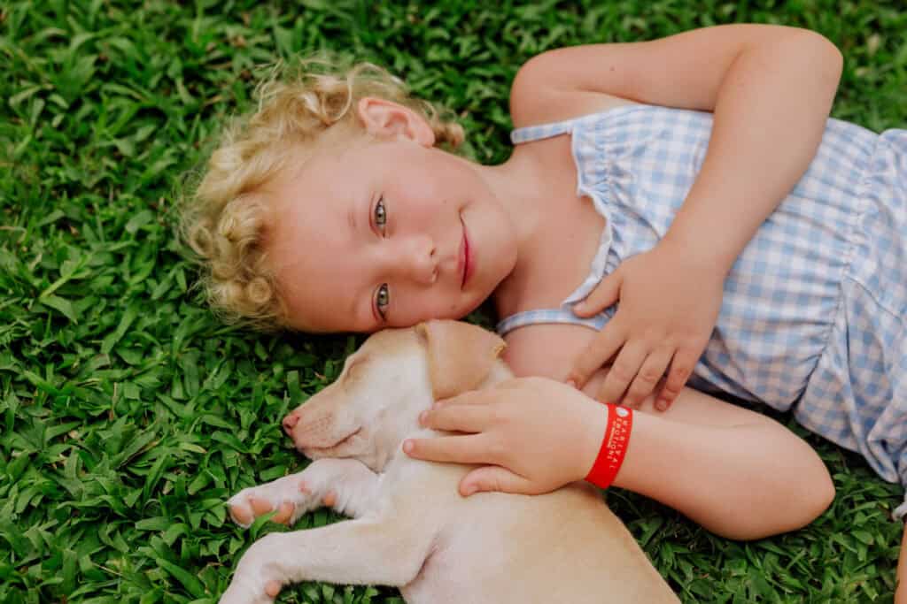 A child at Marival Emotions playing with a rescue dog