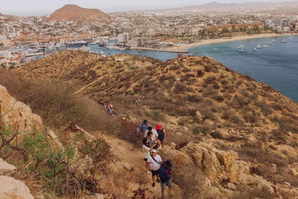 The Hike with Dogs up Mt. Solmar in Cabo