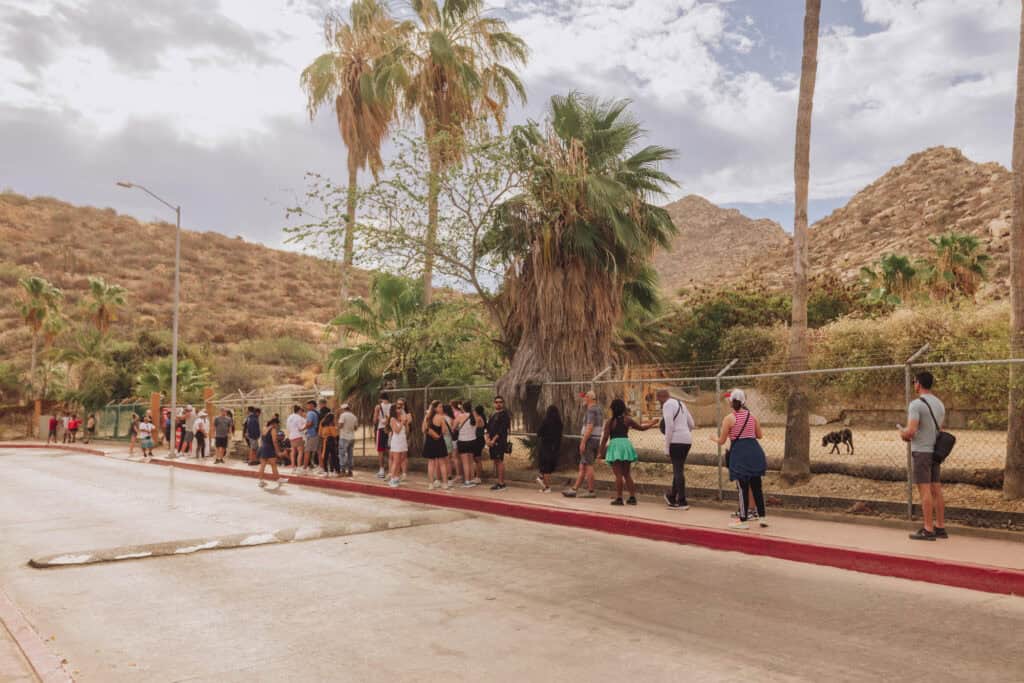 The line outside the dog shelter in Cabo for the hike