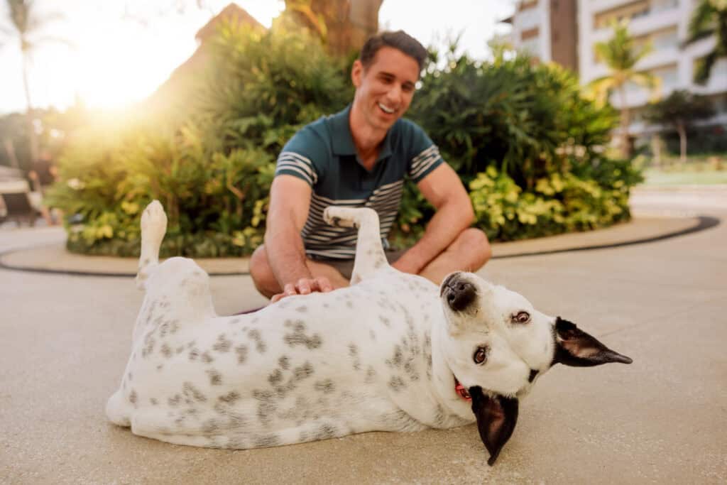 Jared Dillingham and the Marival Distinct resort's rescue dog, Chai