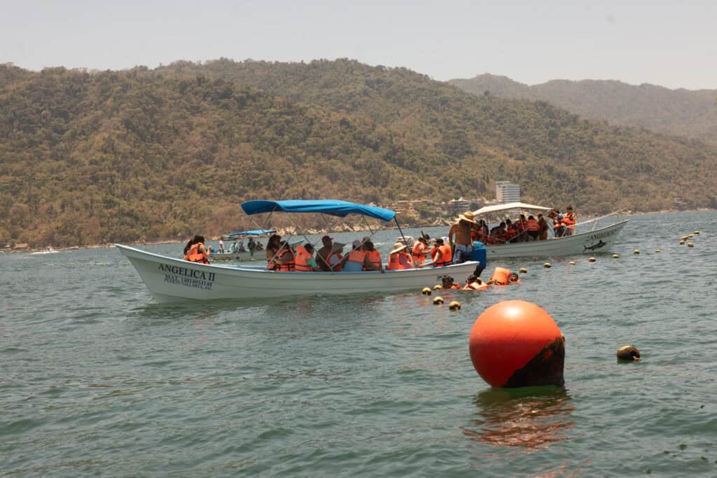Snorkeling off the coast of PV in Mexico