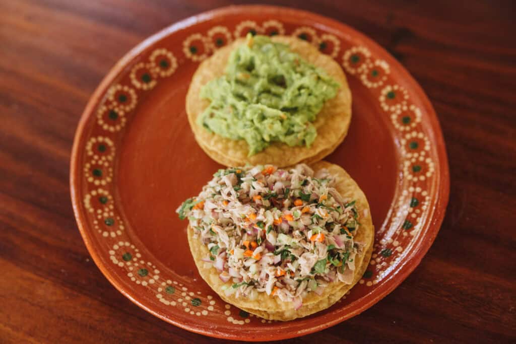 Homemade ceviche and guacamole