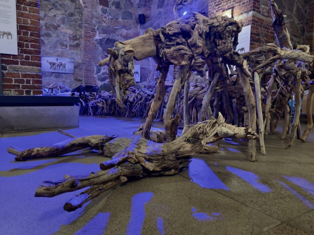 An art exhibit under the Helsinki Cathedral