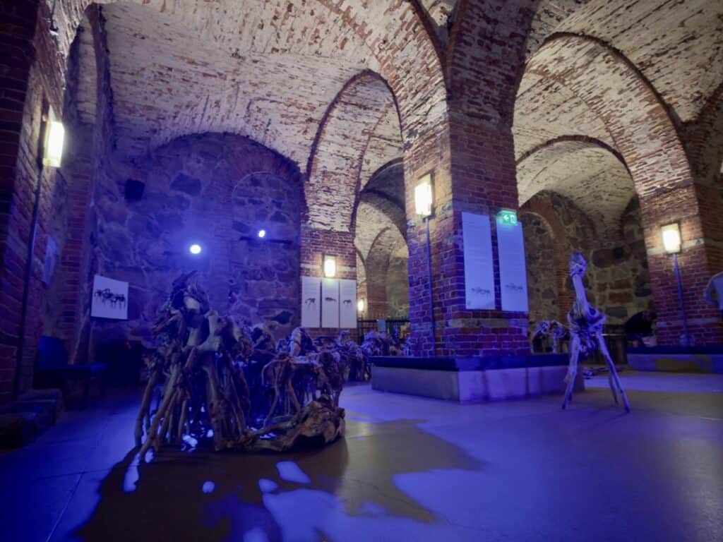 The crypt under the Helsinki cathedral