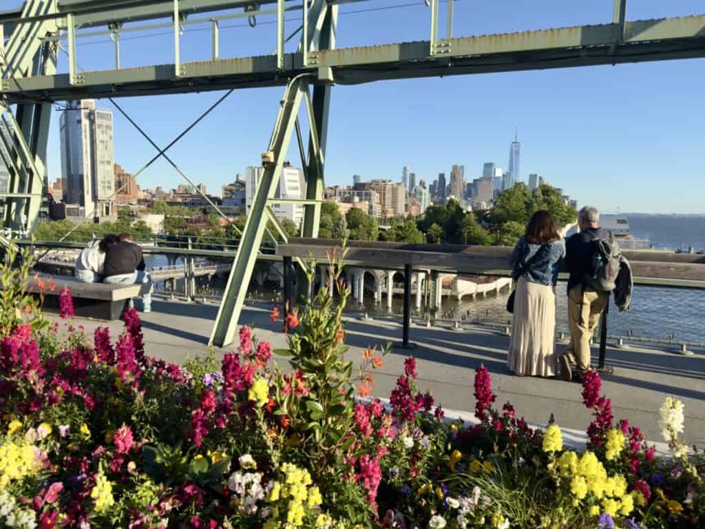The flowers growing on the Pier 57 rooftop, overlooking One World Trade and the lower Manhattan skyline