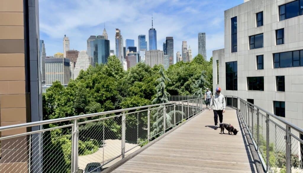Walking on the Squibb Park Bridge in Brooklyn, NY, with the Manhattan skyline