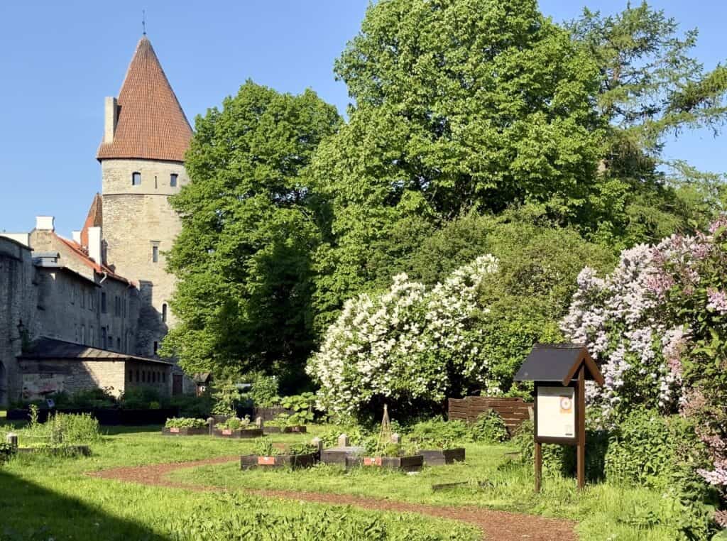 The nun's gardens in Tallinn