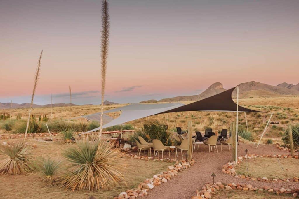 A sunset at a winery in southern Arizona