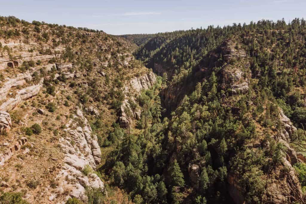 Walnut Canyon National Monument is a hidden gem many people don't know about in Arizona