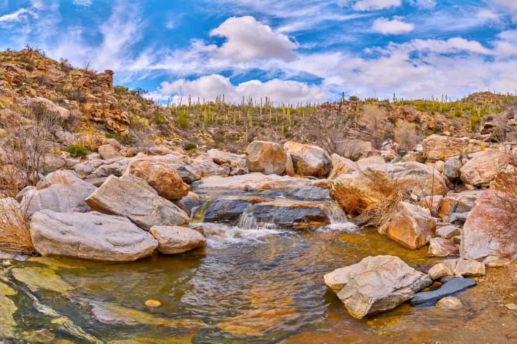 Tanque Verde