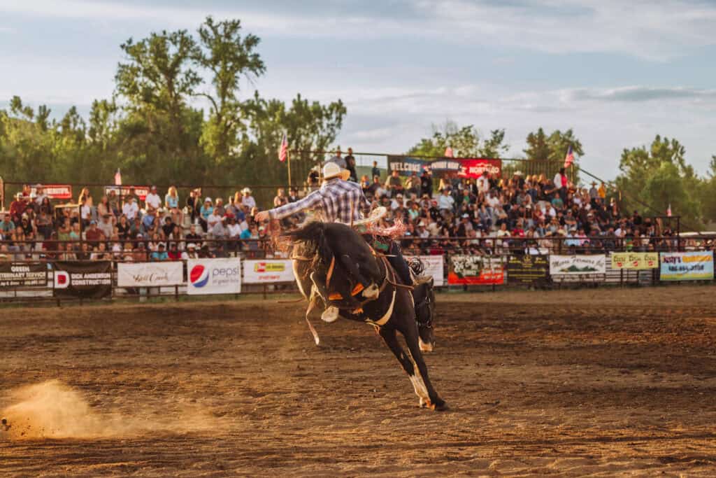 the belt prca rodeo crowd