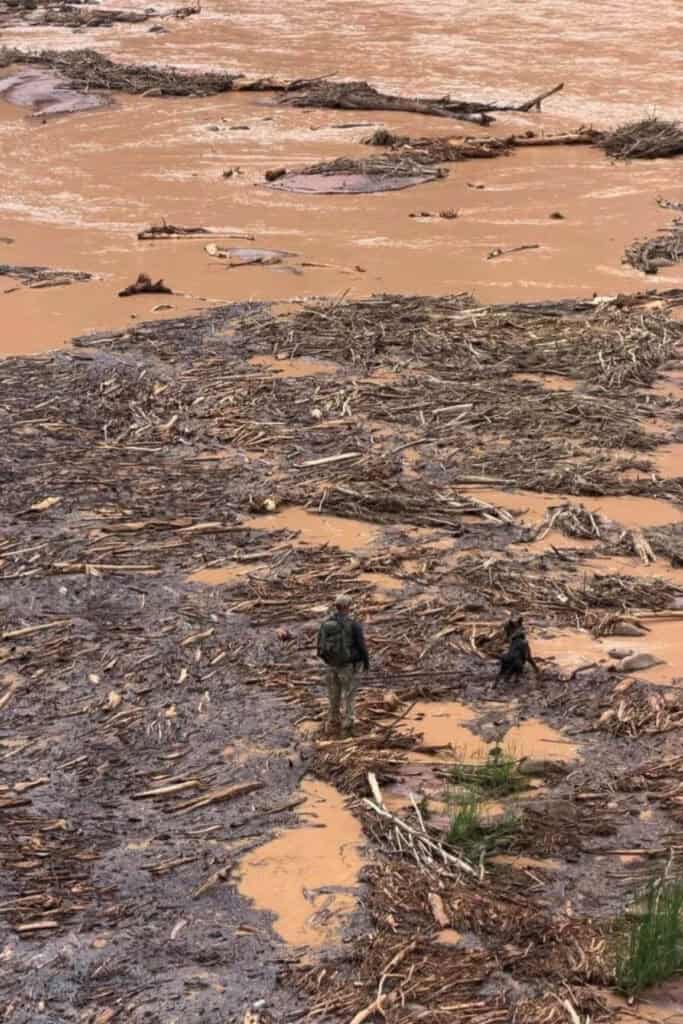 a search k9 after the flood in the grand canyon