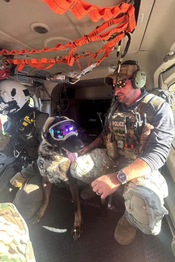 K9 in a helicopter after the grand canyon flood