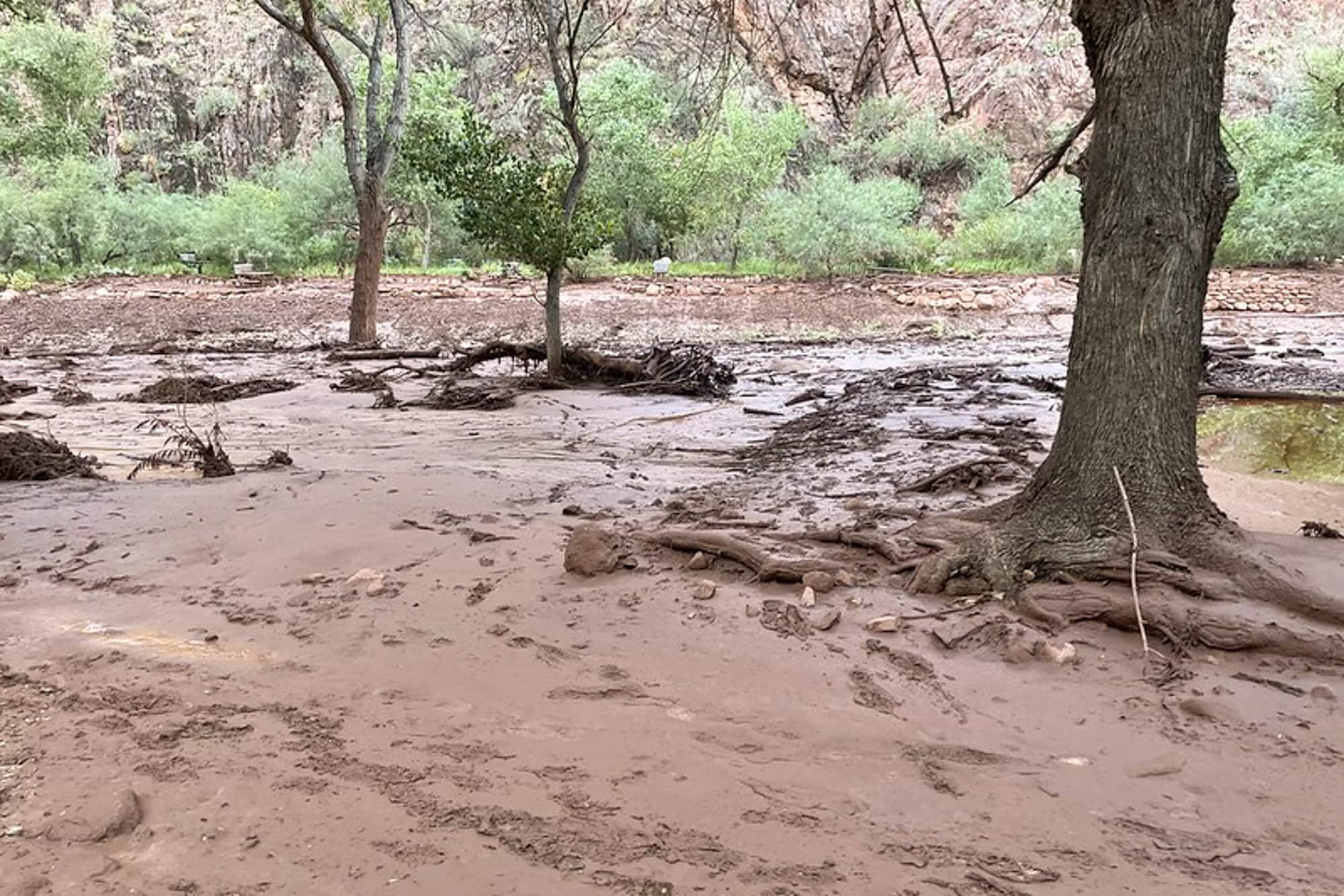 Flooded Grand Canyon campground