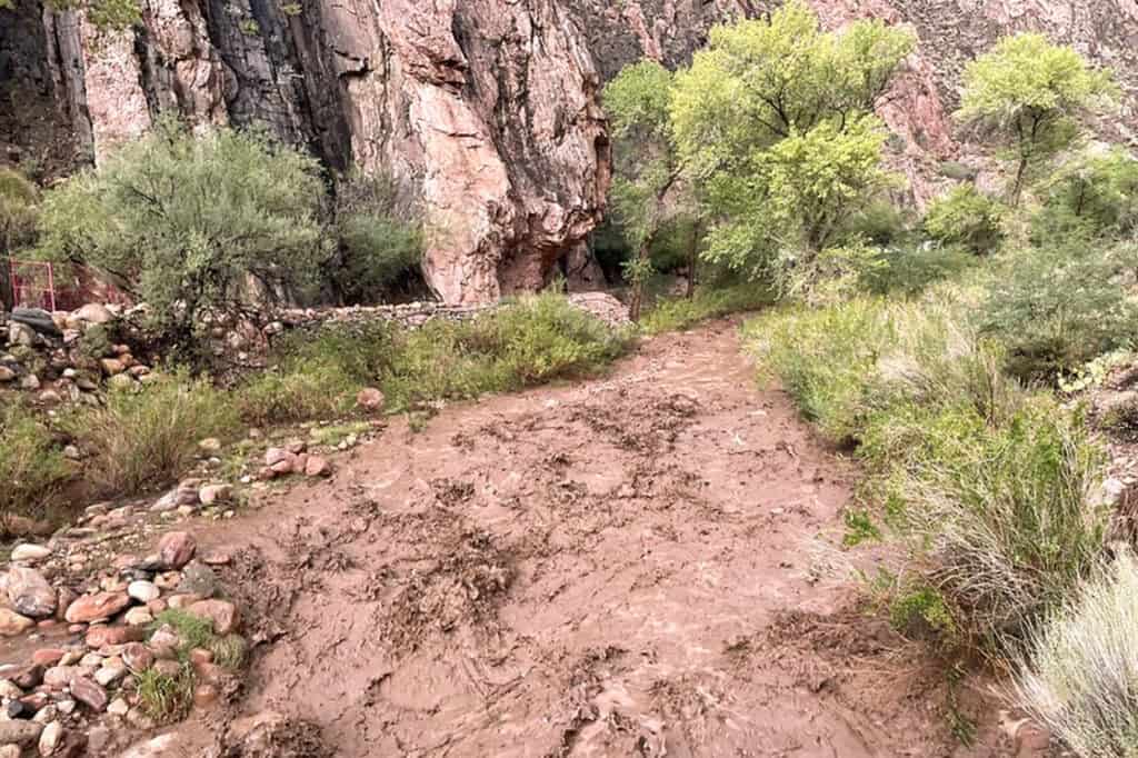 Mud left behind by the flash flood in the Grand Canyon, near Bright Angel Campground