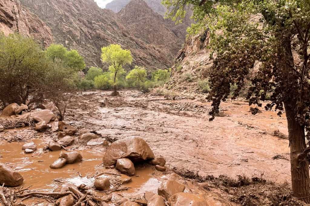 flooding along bright angel creek in the grand canyon